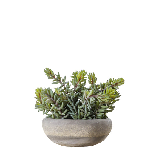 Faux Sedum Green with Cement Bowl Large