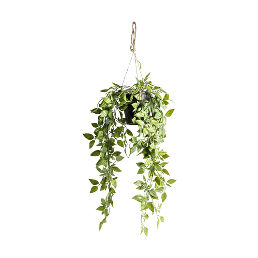 Faux Hanging Scindapsus Small