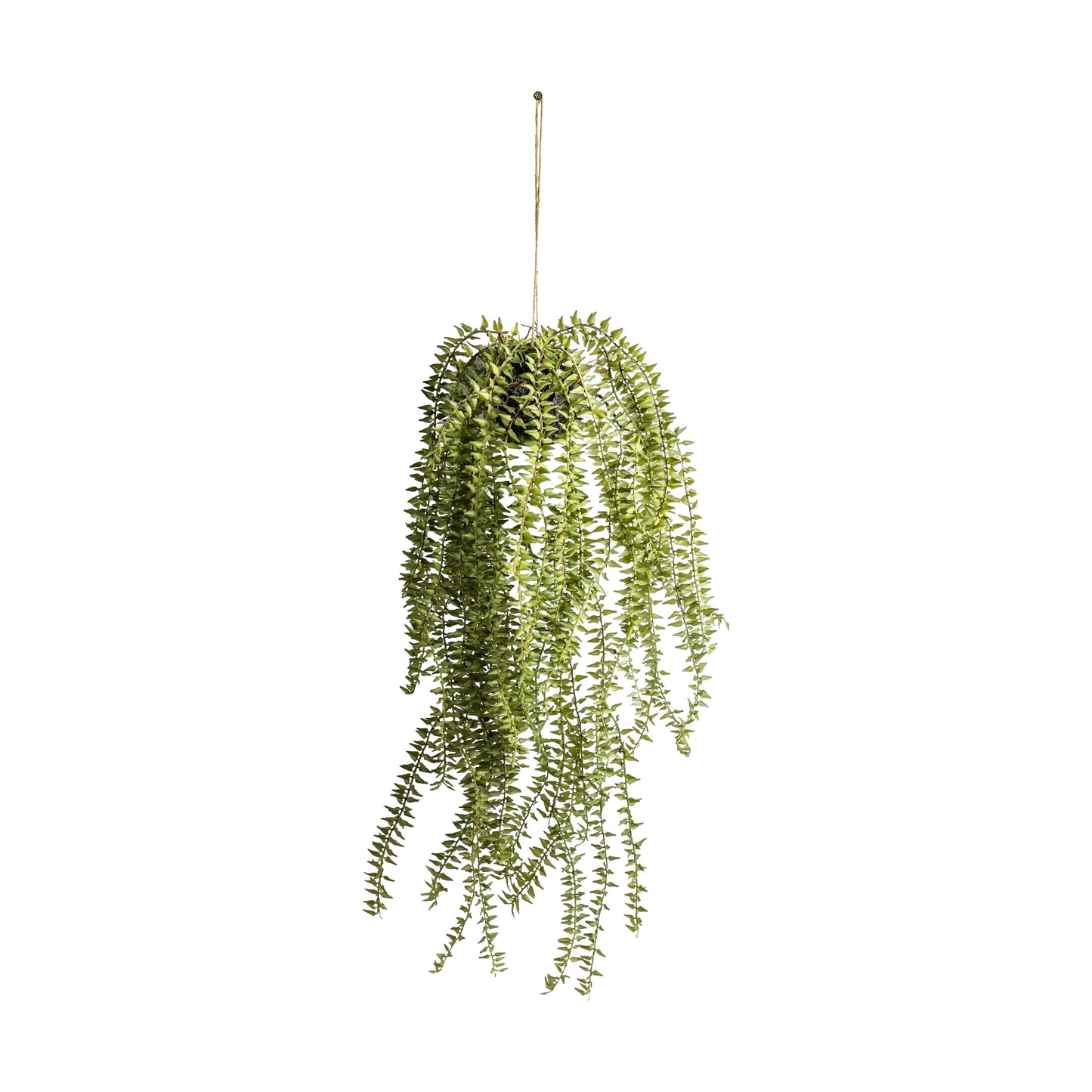 Faux Hanging Cactus Horsetail