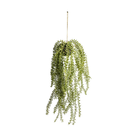 Faux Hanging Cactus Horsetail