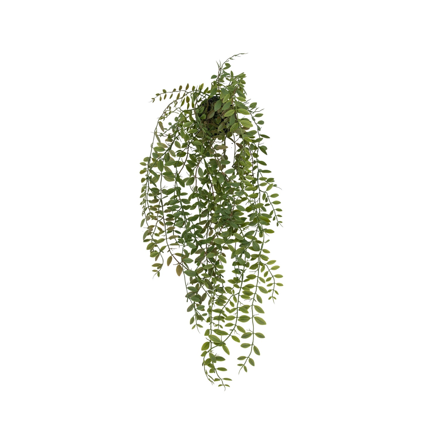 Faux Trailing Fern in Soil Green