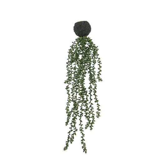 Faux String of Pearls in Soil