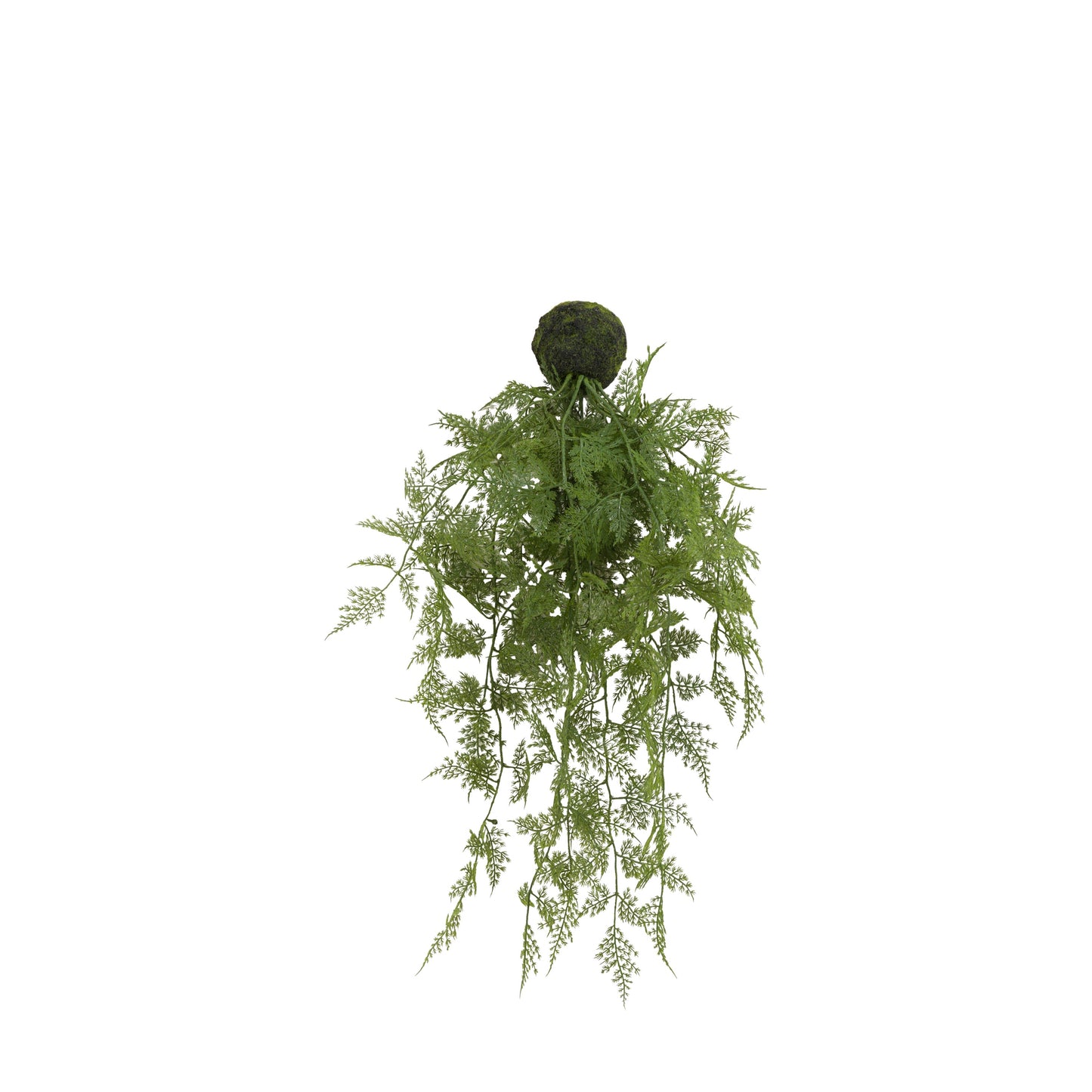 Faux Trailing Wood Fern in Soil Green