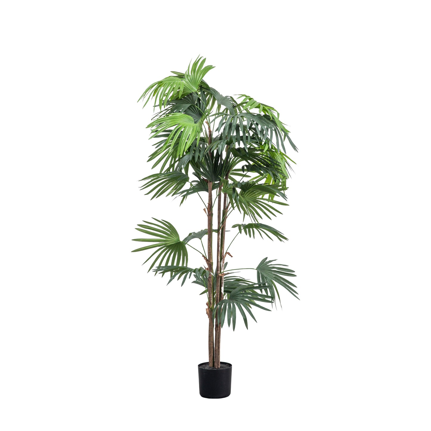 Faux Chinese Fan Palm Large