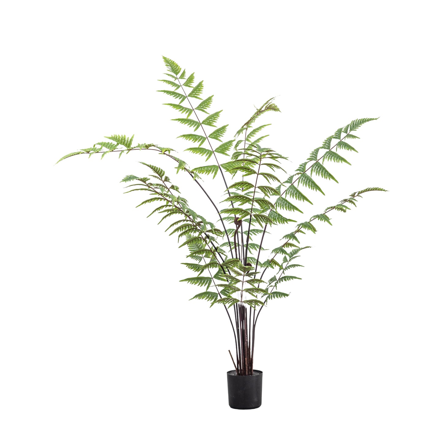 Faux Butterfly Fern Small