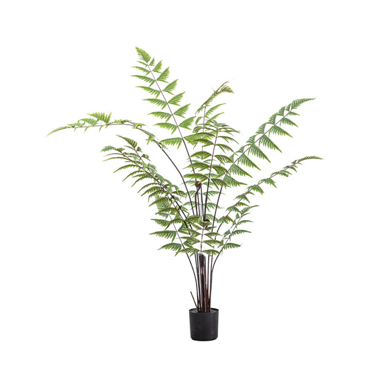 Faux Butterfly Fern Small