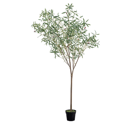 Faux Olive Tree Large Green
