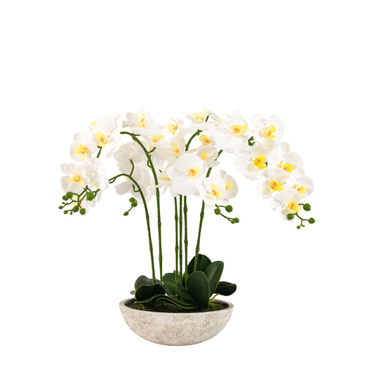 Faux Oversized Orchid in Cement Pot White