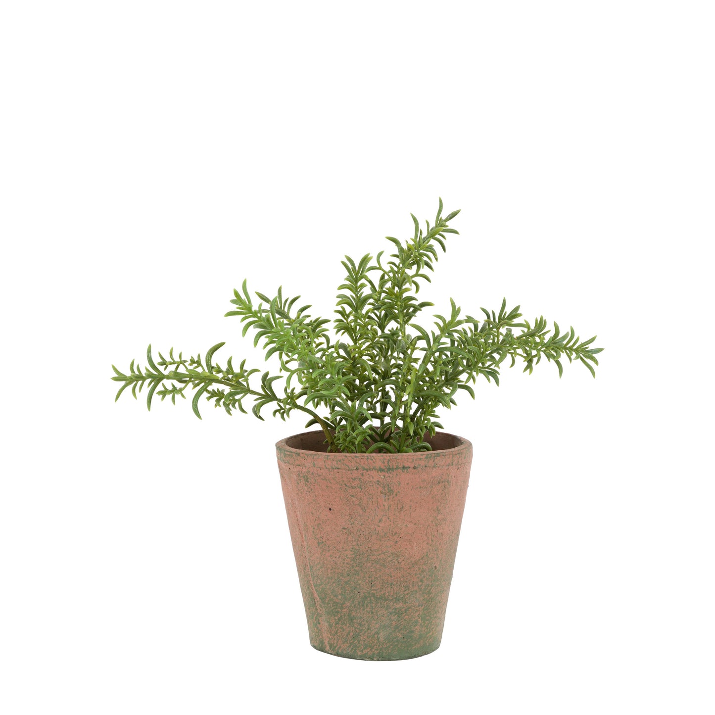 Faux Potted Rosemary Terracotta