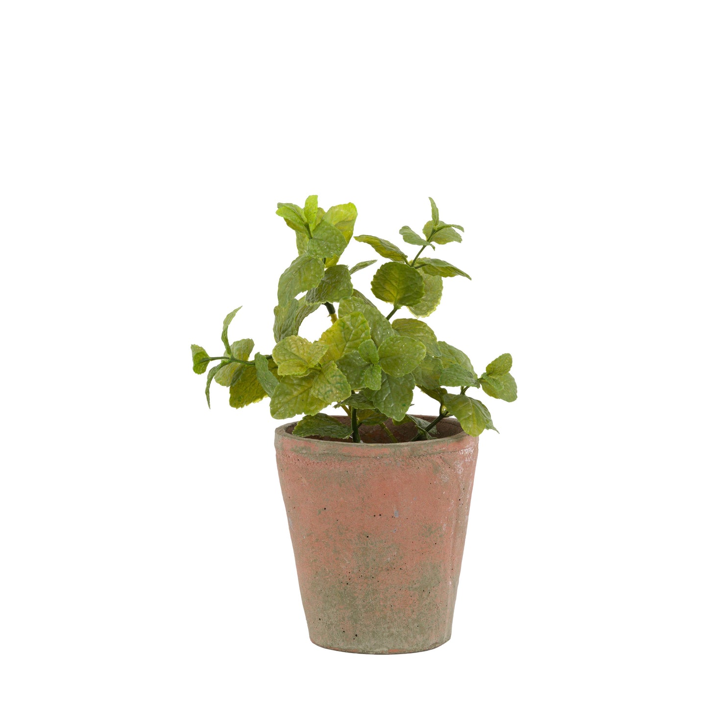 Faux Potted Mint Terracotta