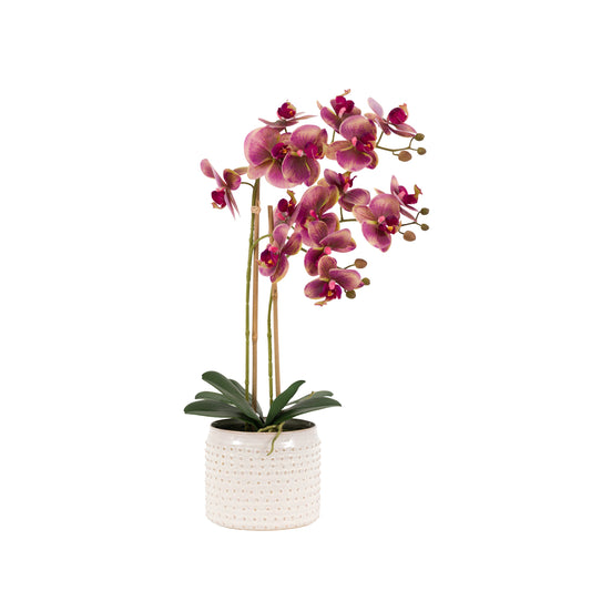 Faux Orchid in Moss Ceramic Dot Pot Pink