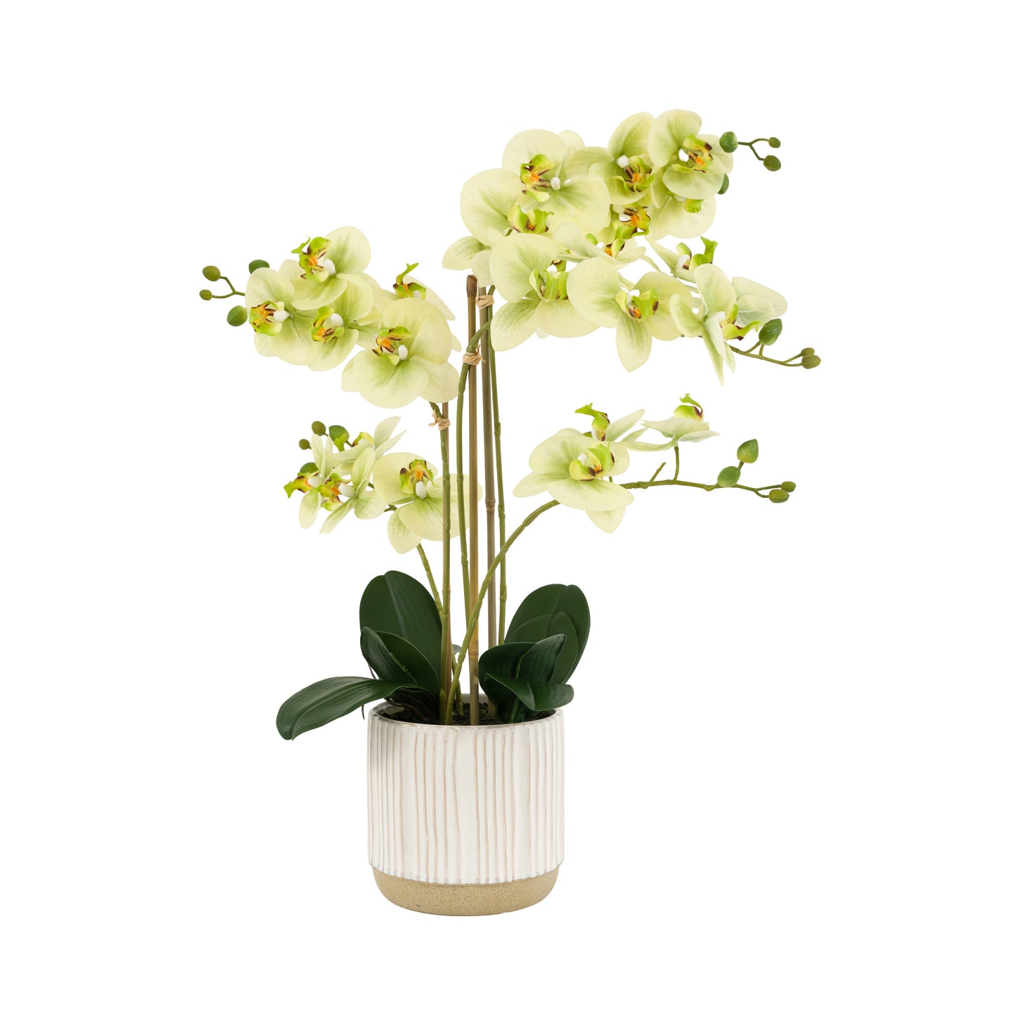 Faux Orchid in White Ribbed Ceramic Pot
