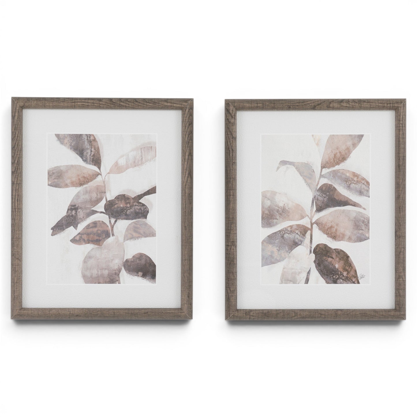 Natures Rhythm Framed Art Set of 2