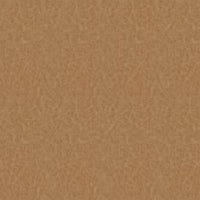 Atacama Nutmeg