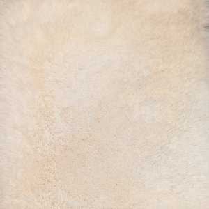 Bear Ivory