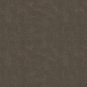 Black Moss