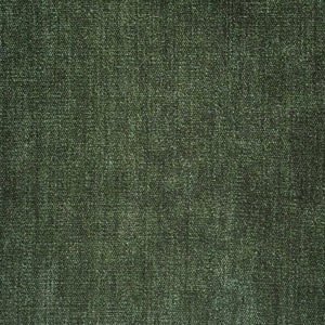 Manhattan Conifer