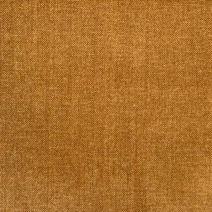Manolo Cinnamon