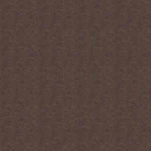 Austin Taupe