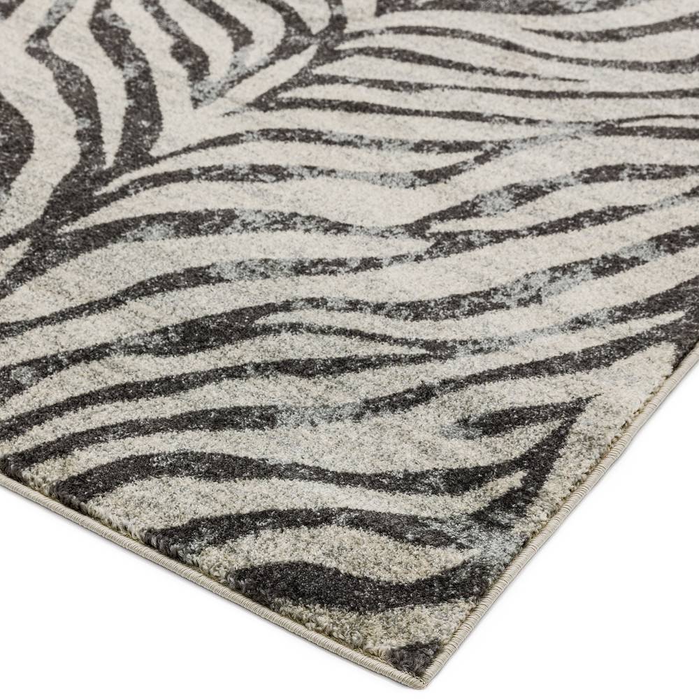 Zebra Grey Rug NV27 Nova Rug - 200cm x 290cm