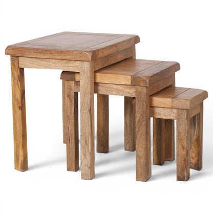 Olda Mango Wood Nest of Tables