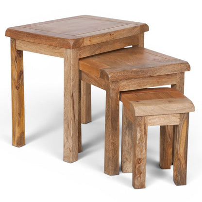 Olda Mango Wood Nest of Tables