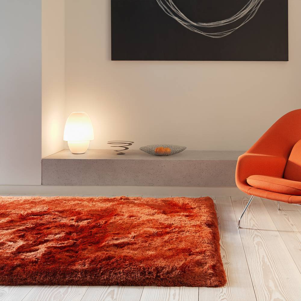 Rust Plush Rug - 200cm x 300cm