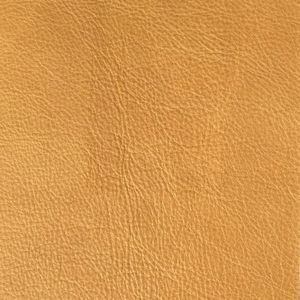 Saddler Tan