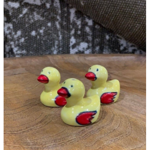 Duck Light Pull Duck Light Pull