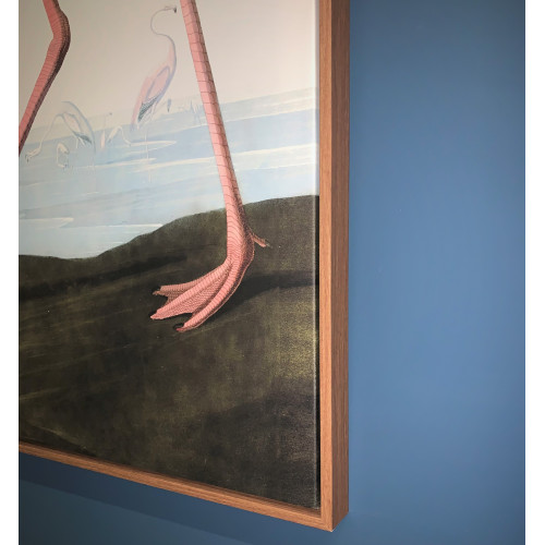 Large Pink Flamingo Picture