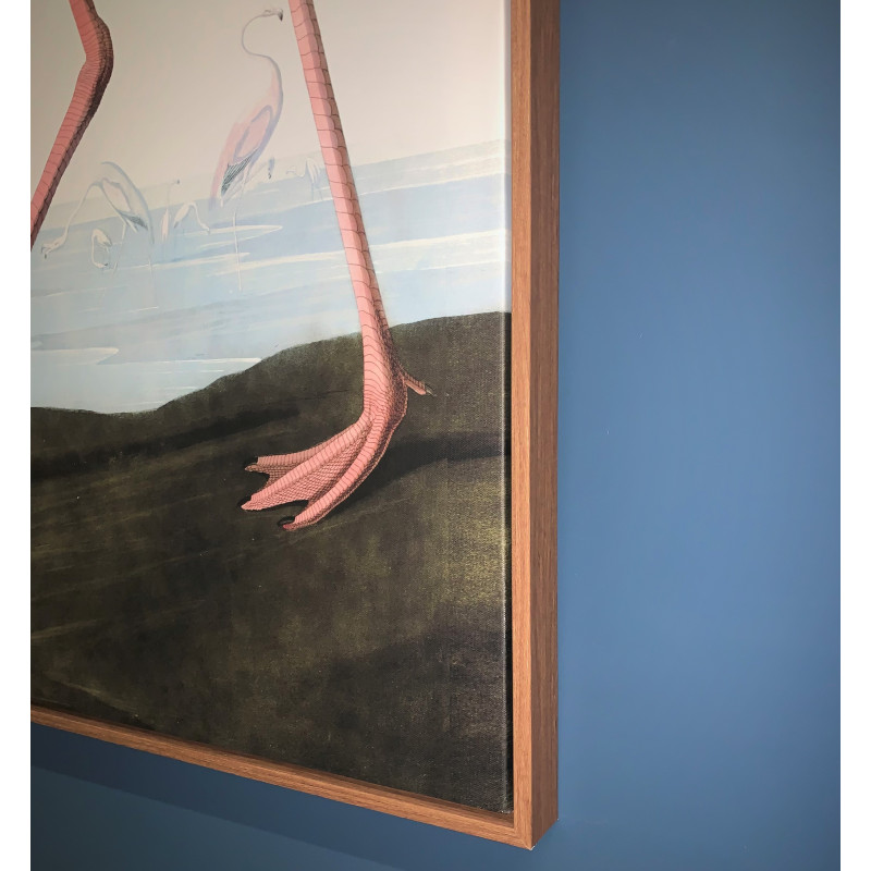 Large Pink Flamingo Picture