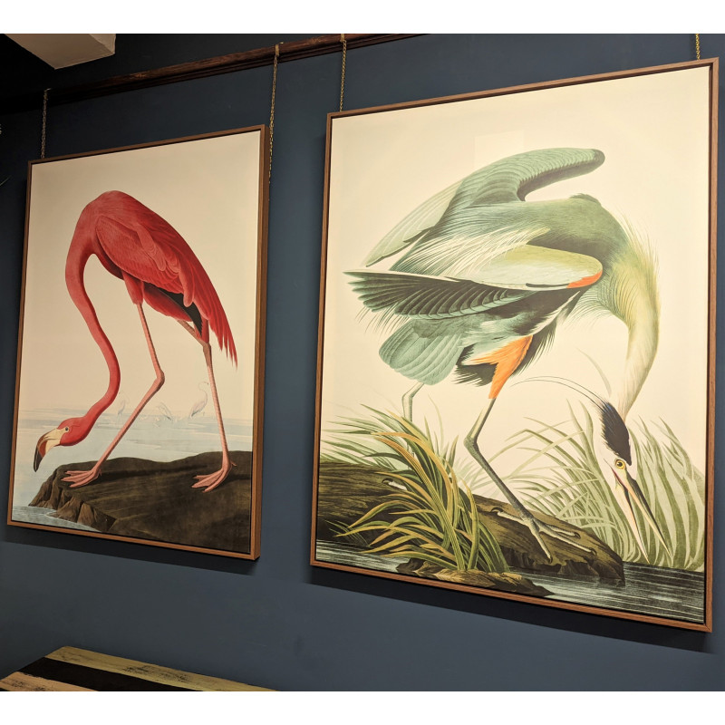Large Pink Flamingo Picture