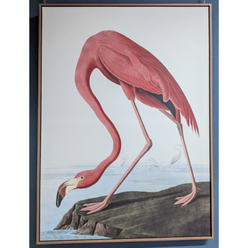 Large Pink Flamingo Picture