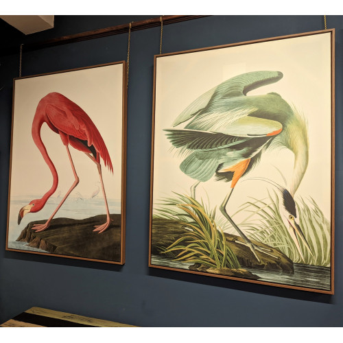 Large Green Crane Picture