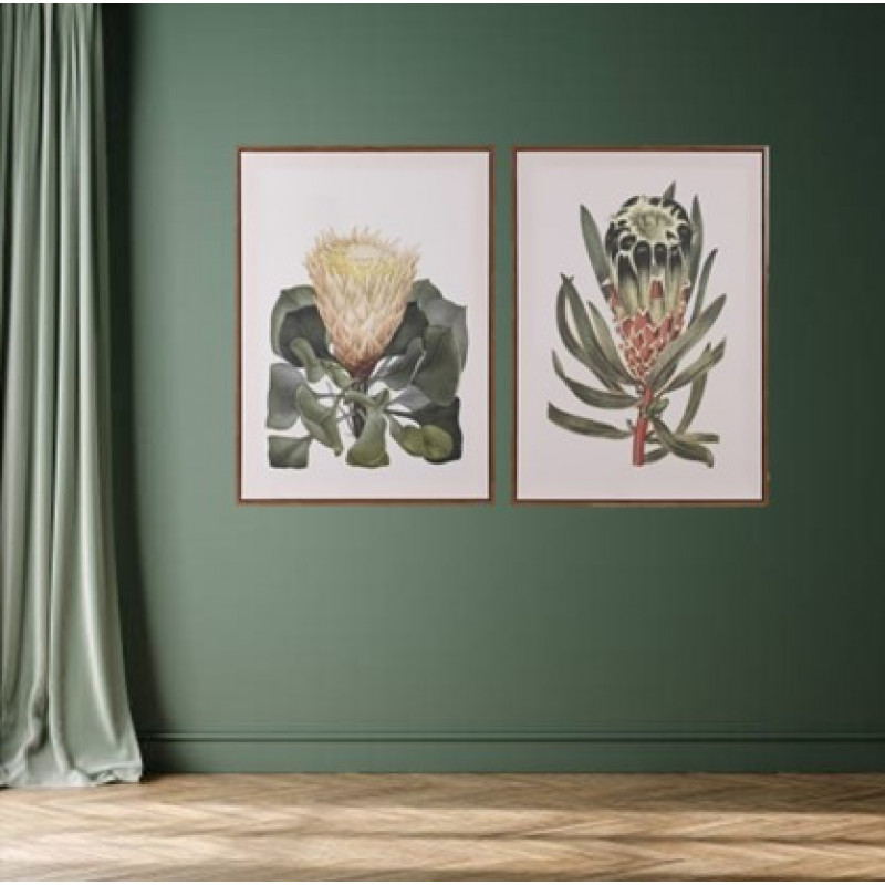 Pair of Protea Pictures Pair of Protea Pictures
