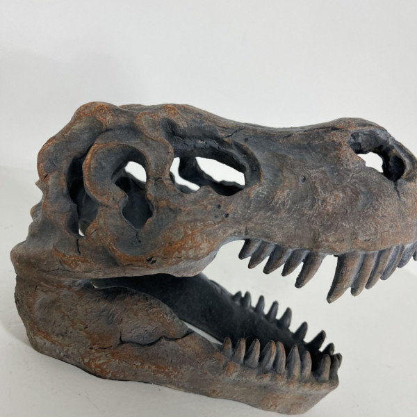 T-Rex Skull Table Decor T-Rex Skull Table Decor