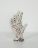 Crackle Phrenology Hand Crackle Phrenology Hand