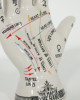 Crackle Phrenology Hand Crackle Phrenology Hand